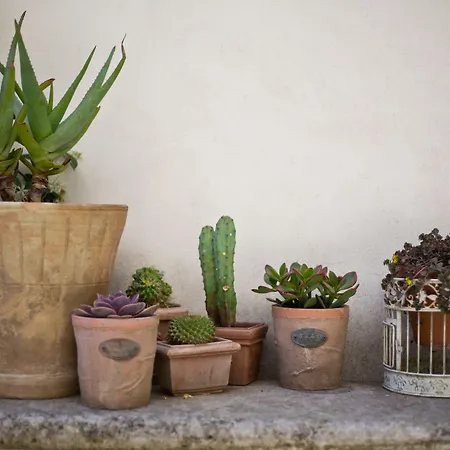 Nuvole Barocche Appartamento